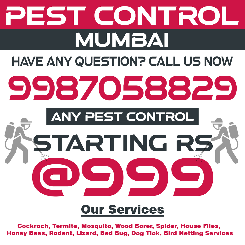 Pest Control Shahad